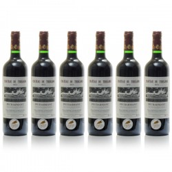 Promotion de 6 Bouteilles de Château Tiregand AOC Pécharmant 2020 6x75cl