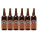 Lot de 6 Bières Ambrées Artisanales Chavagn' 75cl soit 450cl