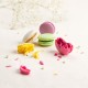 Coffret 25 macarons frais artisanaux Lucy Borie 500g