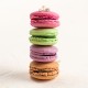 Coffret 25 macarons frais artisanaux Lucy Borie 500g