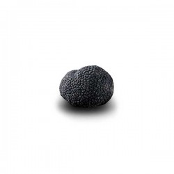 Truffe Noire du Périgord surgelée (Tuber Melanosporum) de 17.5g +/- 2.5g