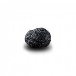 Truffe Noire du Périgord surgelée (Tuber Melanosporum) de 27.5g +/- 2.5g