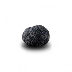 Truffe Noire du Périgord surgelée (Tuber Melanosporum) de 37.5g +/- 2.5g