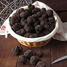 Truffes fraîches - Achat/Vente truffes noires du Périgord