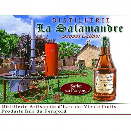 Pastis Bleu - Distillerie la Salamandre 